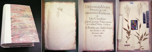 Herbarium book and three pages