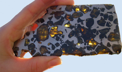 Skive af meteoritten Esquel fra Argentina